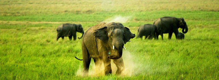 1647/Resort De Coracao - Corbett 19.jpg